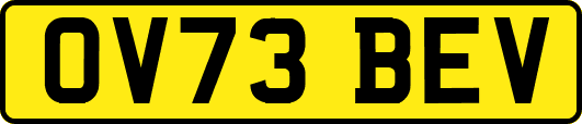 OV73BEV