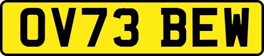 OV73BEW