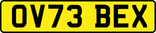 OV73BEX