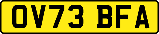 OV73BFA
