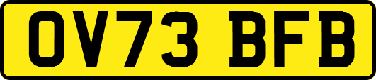 OV73BFB