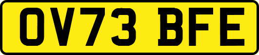 OV73BFE