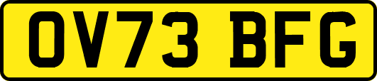 OV73BFG
