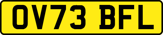 OV73BFL