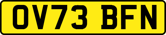 OV73BFN