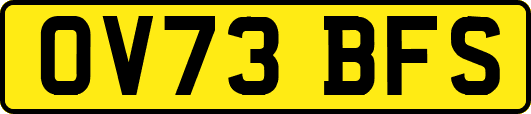OV73BFS