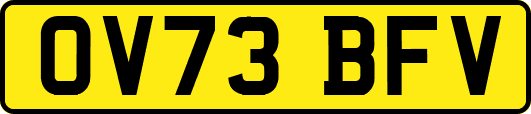 OV73BFV