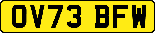 OV73BFW