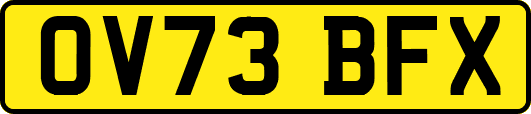 OV73BFX