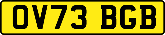 OV73BGB