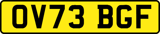 OV73BGF