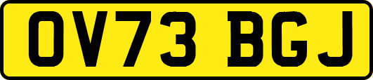 OV73BGJ