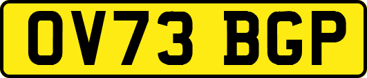 OV73BGP