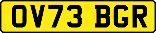 OV73BGR