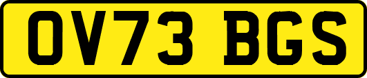OV73BGS