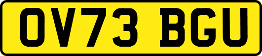OV73BGU