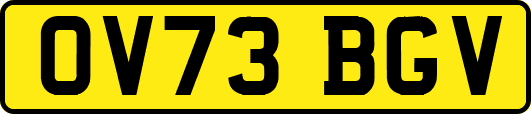 OV73BGV