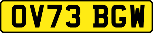 OV73BGW
