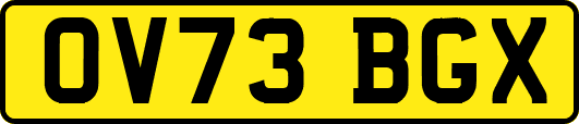 OV73BGX