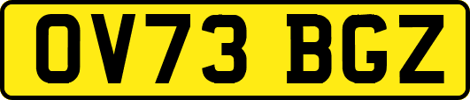 OV73BGZ
