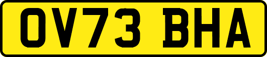 OV73BHA