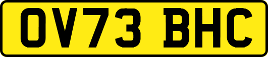 OV73BHC