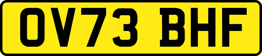 OV73BHF