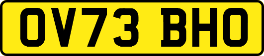 OV73BHO