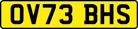 OV73BHS