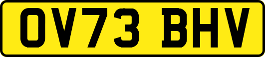 OV73BHV