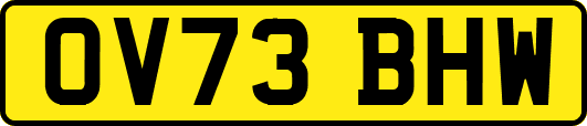 OV73BHW