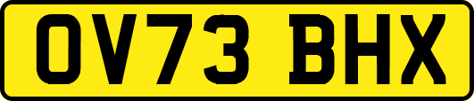 OV73BHX