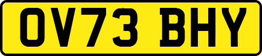 OV73BHY