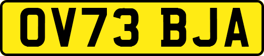 OV73BJA
