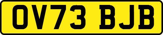 OV73BJB