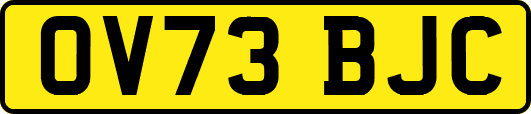OV73BJC