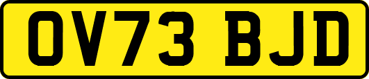 OV73BJD