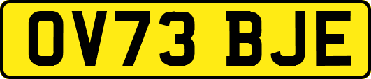 OV73BJE