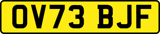 OV73BJF