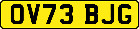 OV73BJG