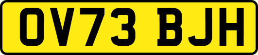 OV73BJH