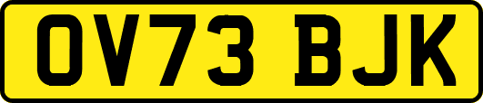 OV73BJK