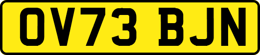 OV73BJN