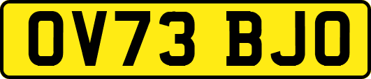 OV73BJO