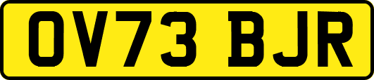 OV73BJR