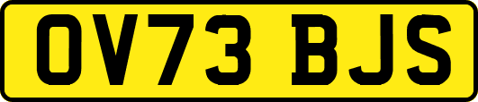 OV73BJS