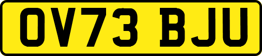 OV73BJU
