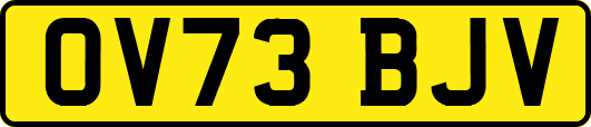 OV73BJV