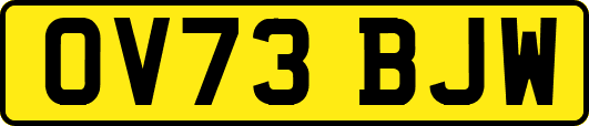OV73BJW