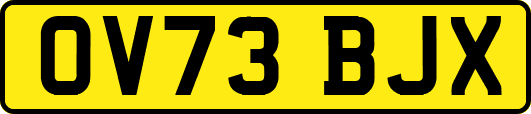 OV73BJX